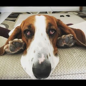 Meet your Posher, Jeanne